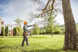 Best Tree Removal Services  in Hanover, PA